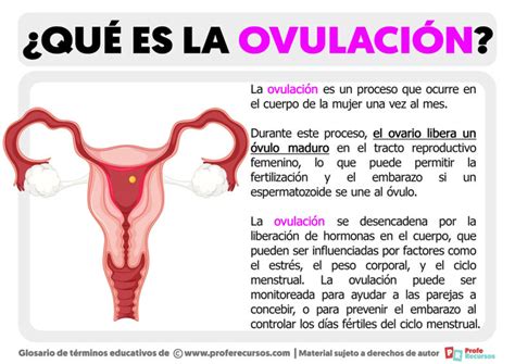 que es ovular-1